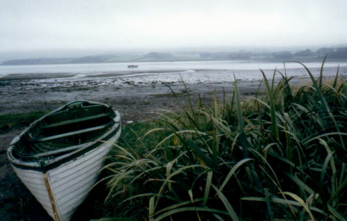 Irlanda 1982