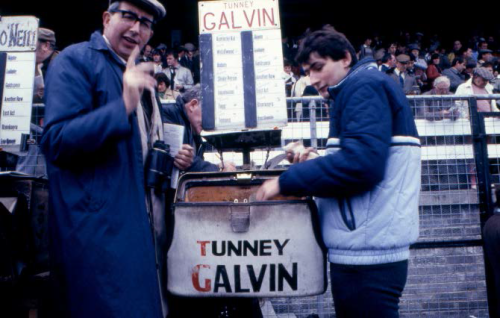 Irlanda 1982