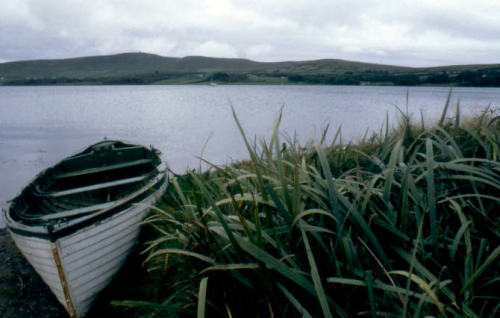 Irlanda 1982